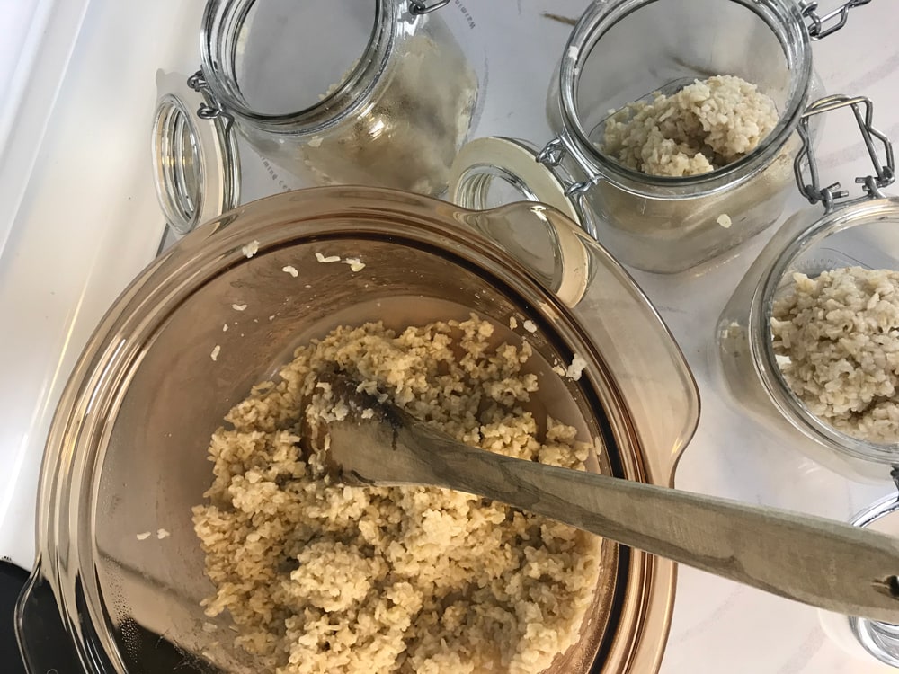 Experiment Vegan Belts & Fashion for Men & Women Truth Belts